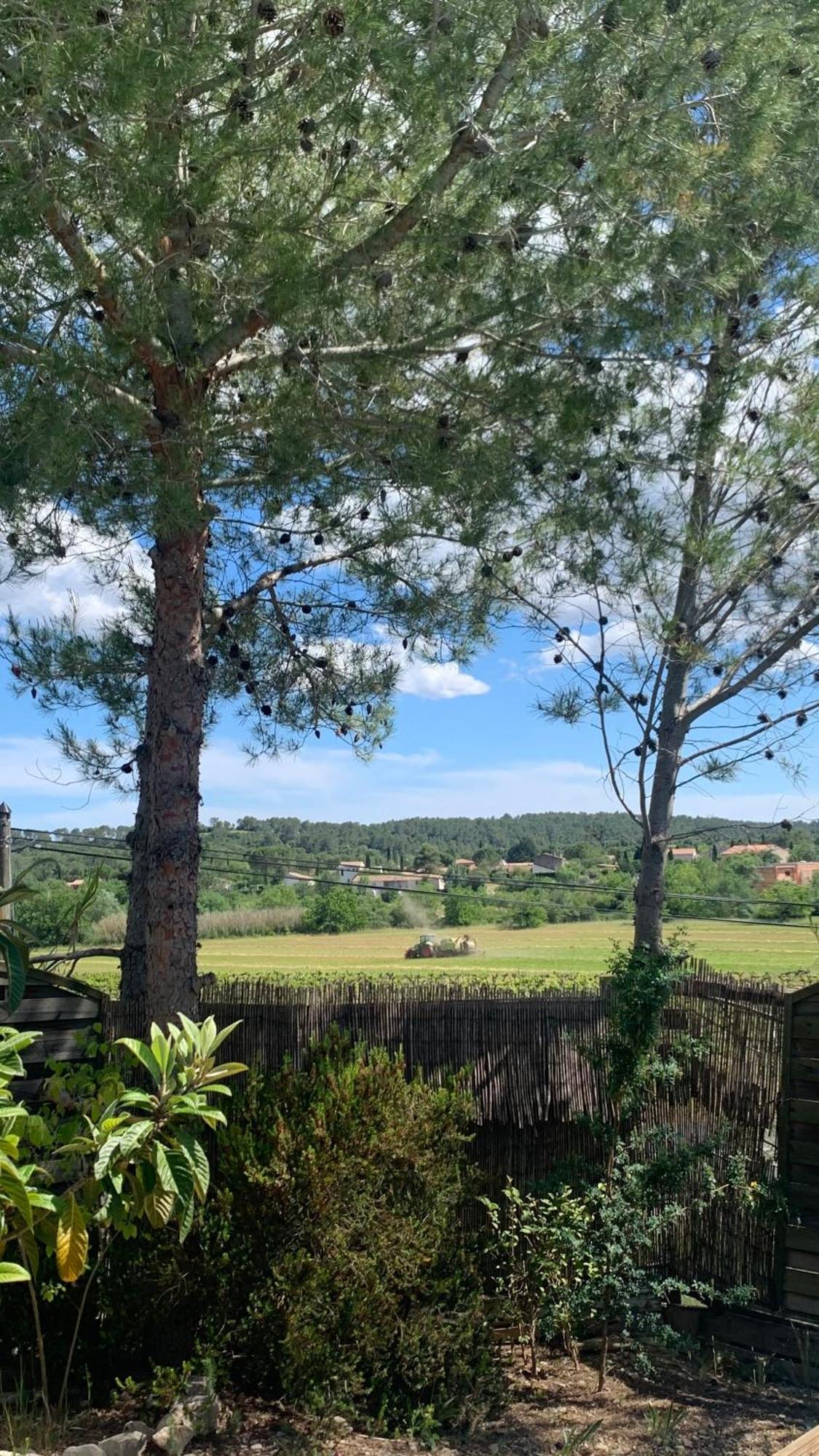 Villa En Bordure De Colline*Piscine*Clim*Netflix Les Matelles Exterior photo